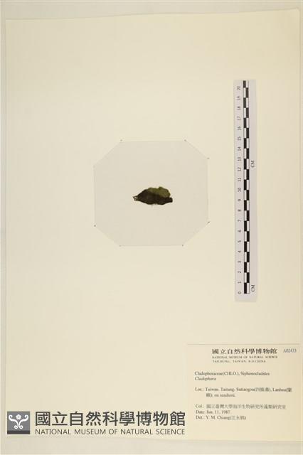 登錄號:A00002433藏品圖，第3張