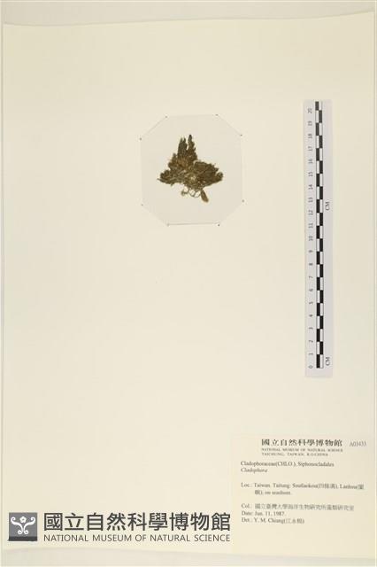 登錄號:A00003433藏品圖，第3張