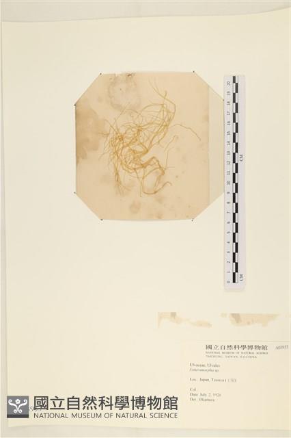 登錄號:A00003933藏品圖，第1張