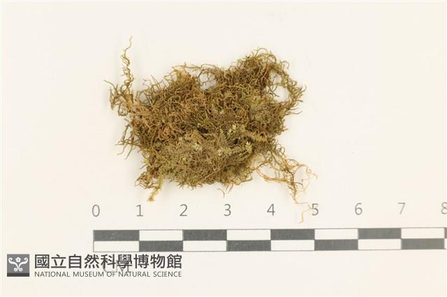 登錄號:B00009653藏品圖，第1張