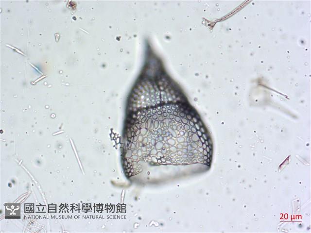 登錄號:A00004653藏品圖，第4張