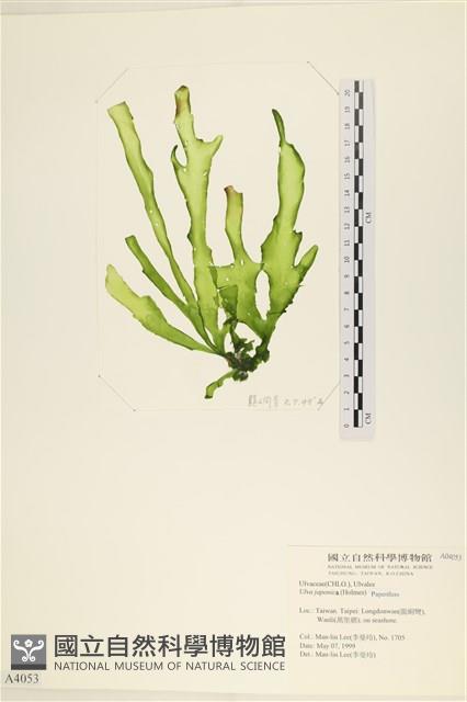 登錄號:A00004053藏品圖，第1張
