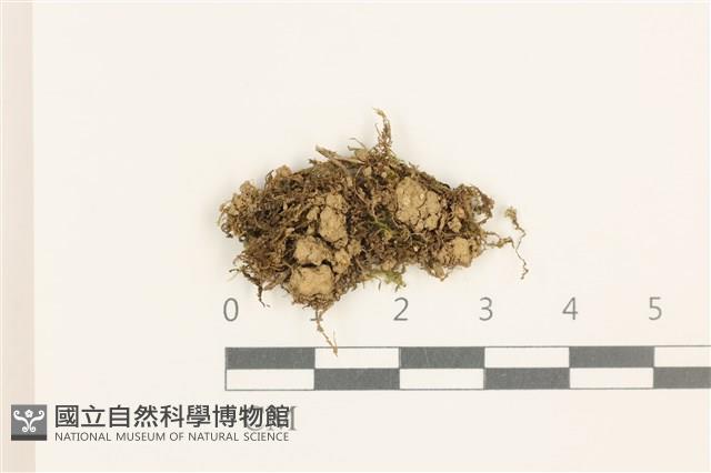 登錄號:B00015153藏品圖，第1張