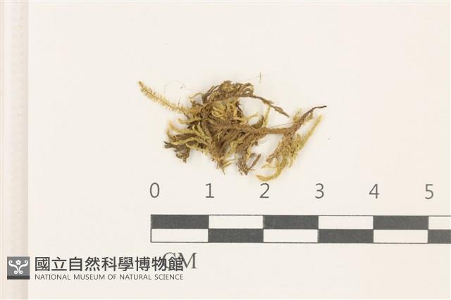 登錄號:B00009553藏品圖，第1張