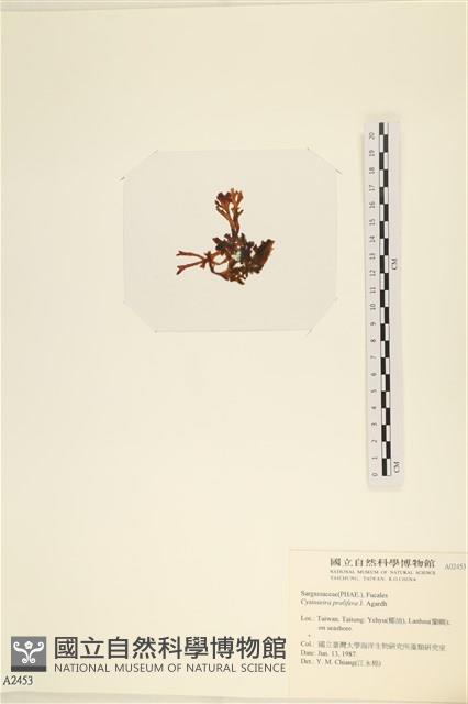 登錄號:A00002453藏品圖，第3張