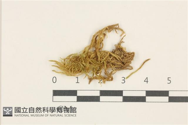 登錄號:B00014453藏品圖，第1張