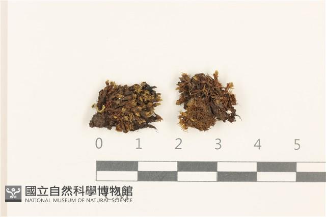 登錄號:B00009623藏品圖，第1張