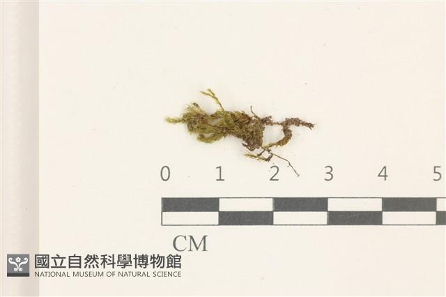 登錄號:B00014623藏品圖，第1張