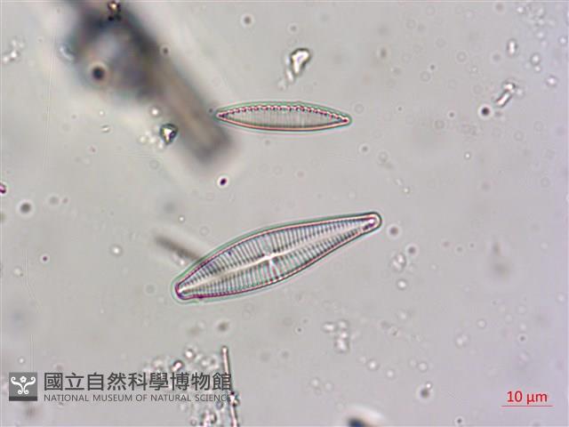 登錄號:A00004623藏品圖，第4張
