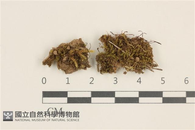 登錄號:B00017623藏品圖，第1張