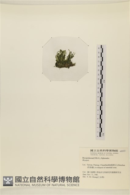 登錄號:A00002223藏品圖，第3張