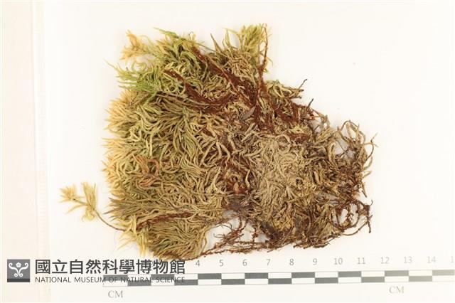 登錄號:B00017223藏品圖，第1張