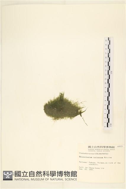 登錄號:A00000223藏品圖，第3張