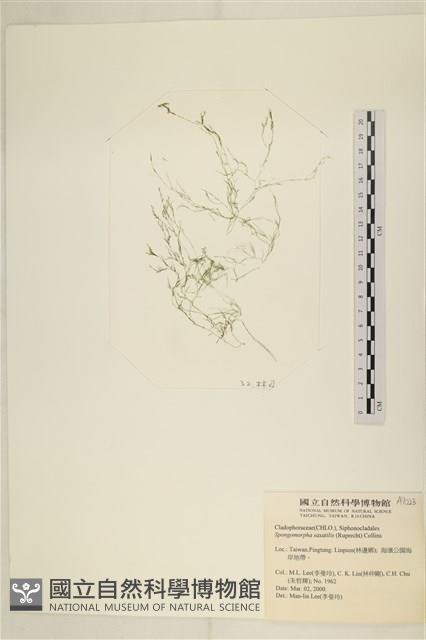 登錄號:A00007023藏品圖，第1張