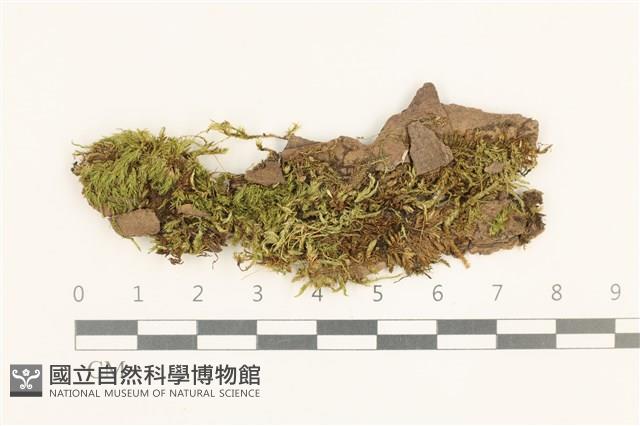 Accession Number:B00015123 Collection Image, Figure 1, Total 2 Figures