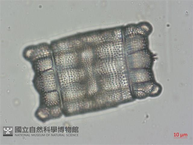 登錄號:A00004523藏品圖，第4張
