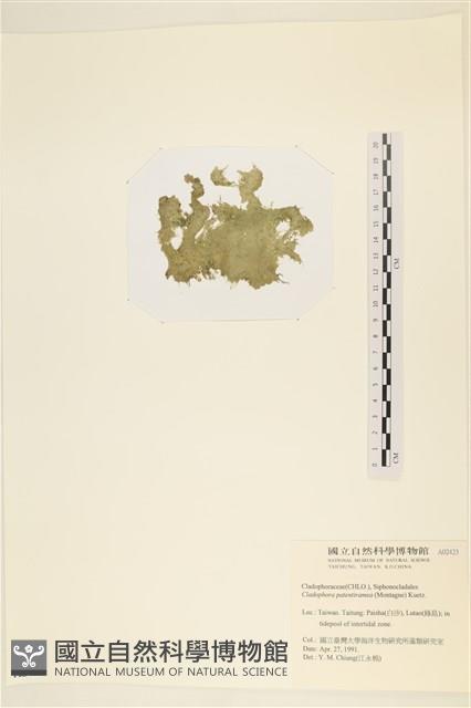 登錄號:A00002423藏品圖，第3張