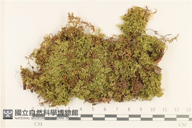 登錄號:B00005323藏品圖，第1張