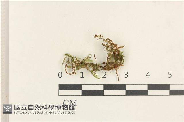 登錄號:B00012723藏品圖，第1張