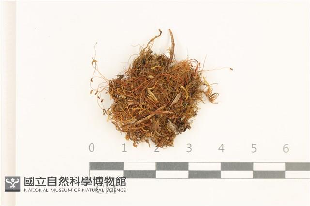 登錄號:B00001723藏品圖，第1張