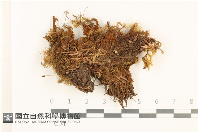 登錄號:B00013723藏品圖，第1張