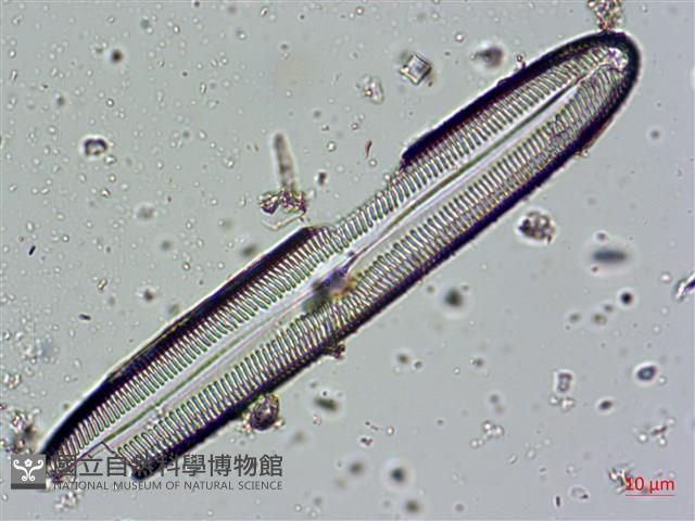 登錄號:A00004673藏品圖，第4張