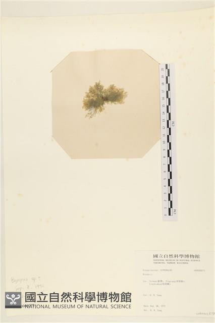 登錄號:A00008073藏品圖，第3張