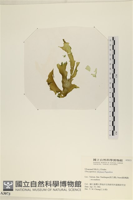 登錄號:A00003073藏品圖，第1張