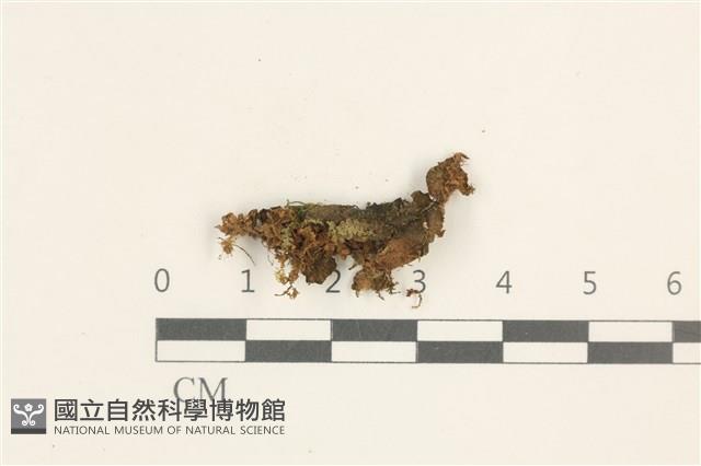 登錄號:B00015573藏品圖，第1張