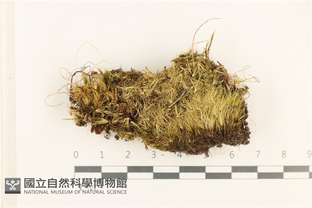 登錄號:B00012473藏品圖，第1張