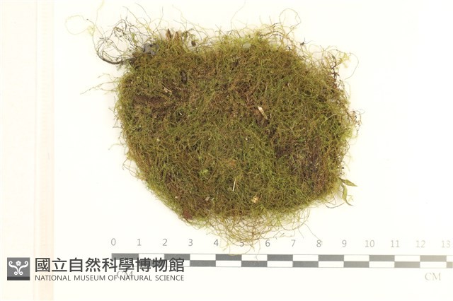 登錄號:B00008473藏品圖，第1張