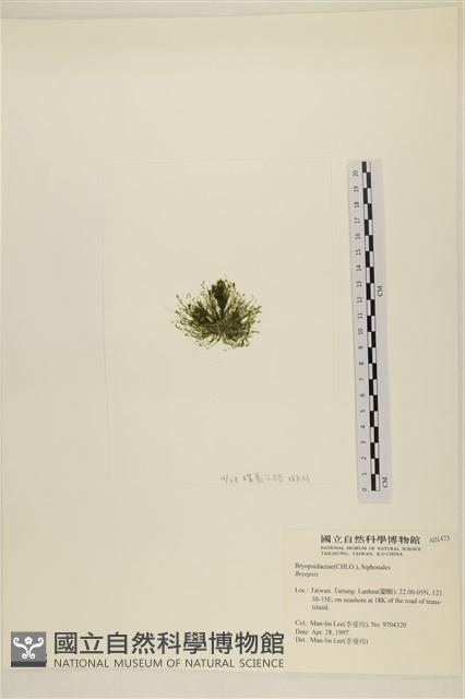 館號:A00001473藏品圖，第3張
