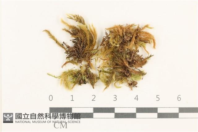 登錄號:B00012773藏品圖，第1張