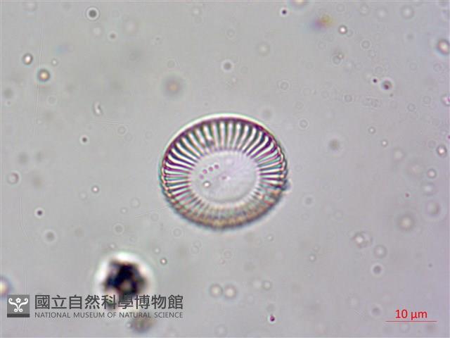 登錄號:A00004613藏品圖，第4張