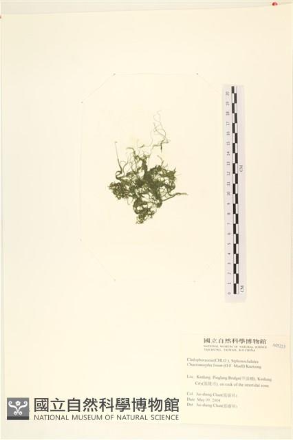 登錄號:A00005213藏品圖，第3張
