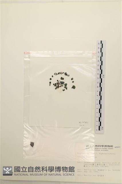 登錄號:A00001013藏品圖，第3張