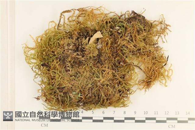 登錄號:B00008113藏品圖，第1張