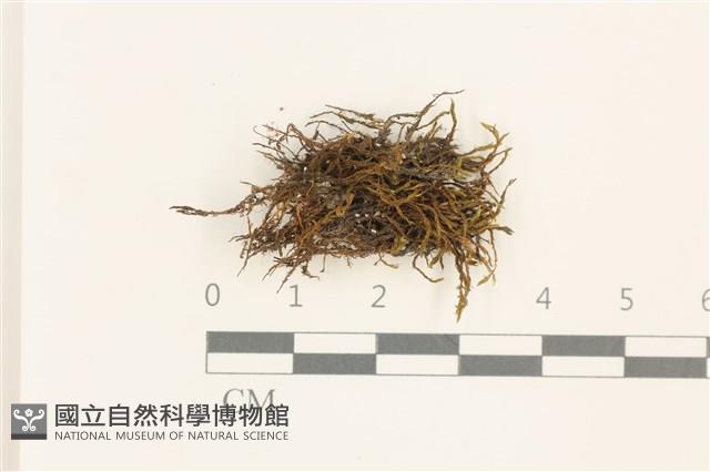 Accession Number:B00015113 Collection Image, Figure 1, Total 2 Figures