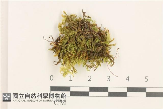 Accession Number:B00002513 Collection Image, Figure 1, Total 2 Figures