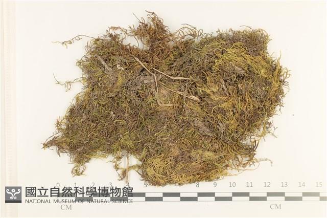 登錄號:B00012413藏品圖，第1張