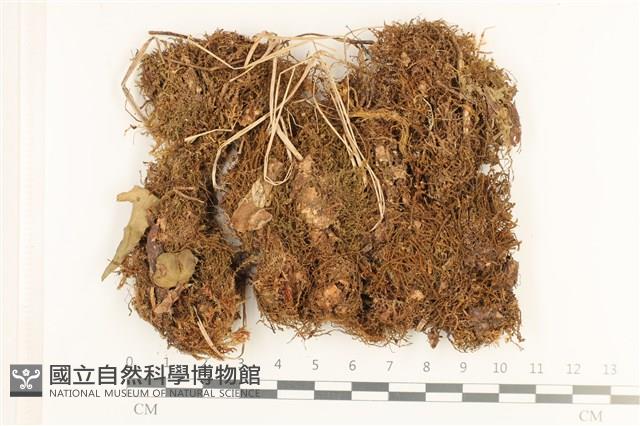 登錄號:B00019413藏品圖，第1張