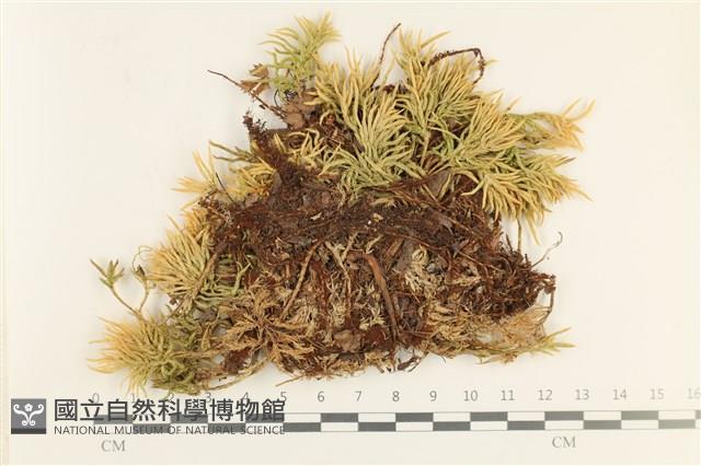 登錄號:B00017413藏品圖，第1張
