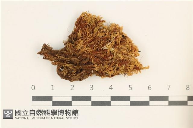 登錄號:B00013713藏品圖，第1張