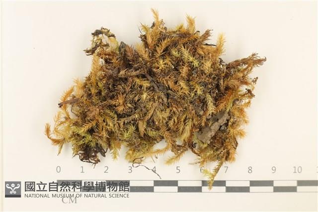 登錄號:B00003713藏品圖，第1張