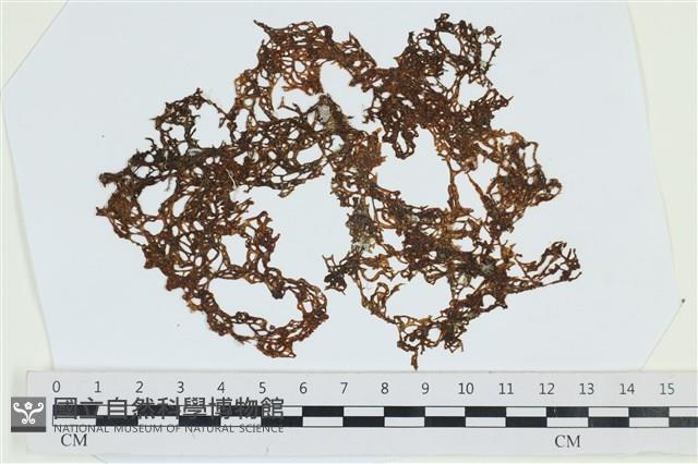 登錄號:A00002693藏品圖，第1張