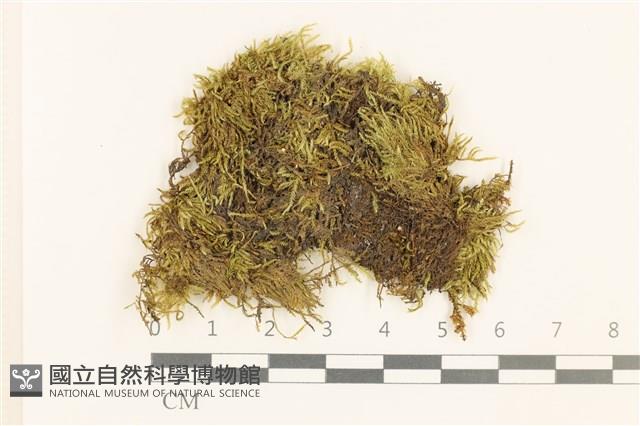 登錄號:B00021693藏品圖，第1張