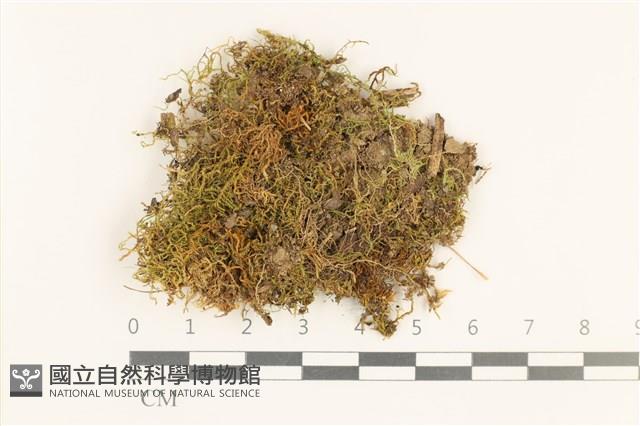 登錄號:B00017293藏品圖，第1張