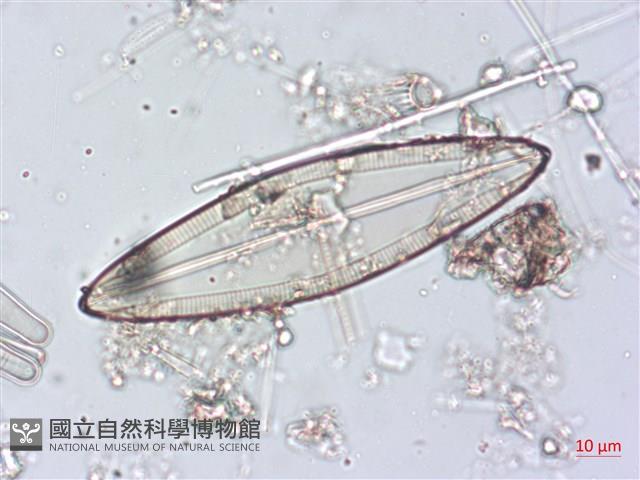 館號:A00004493藏品圖，第3張