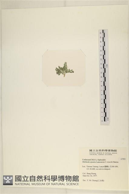 登錄號:A00007993藏品圖，第3張