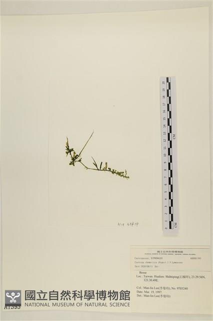 登錄號:A00001393藏品圖，第3張